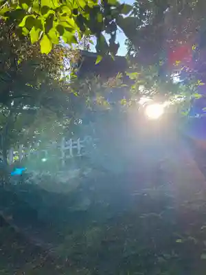 筑波山神社 男体山御本殿(茨城県)