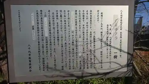 浅間神社の歴史