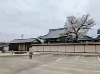 覚成寺の山門・神門