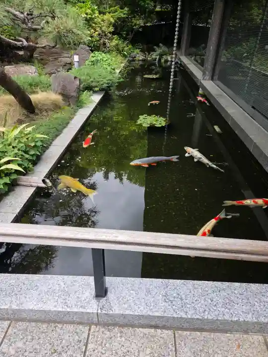 護国寺の{uncategorized: "未分類", other: "その他", undefined: "問題あり", building: "その他建物", grave: "お墓", sacred_gate: "鳥居", guardian: "狛犬", statue: "像", buddha: "仏像", history: "歴史", nature: "自然", garden: "庭園", animal: "動物", pagoda: "塔", temizu: "手水舎", mountain_gate: "山門・神門", sanctuary: "本殿・本堂", subordinate: "末社・摂社", art: "芸術", scenery: "景色", jizo: "地蔵", ema: "絵馬", goshuin: "御朱印", omikuji: "おみくじ", items: "授与品その他", amulet: "お守り", goshuincho: "御朱印帳", eats: "食事", festival: "お祭り", votive_dance: "神楽", shichigosan: "七五三参", wedding: "結婚式", experience: "体験その他", initially: "初詣", around: "周辺", anti_infection: "感染症対策"}