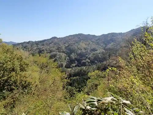 磐船神社の自然