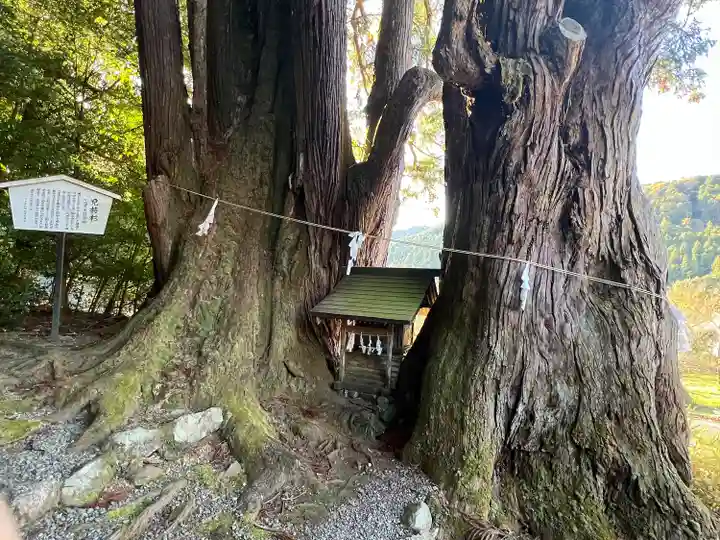 萩日吉神社(埼玉県)
