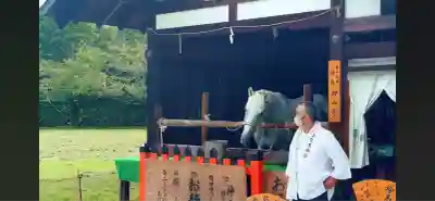 賀茂別雷神社（上賀茂神社）(京都府)