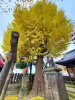 晴門田神社(福島県)