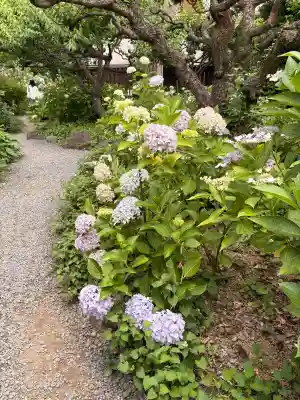 頼光寺(兵庫県)
