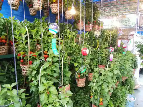 浅草寺のその他建物