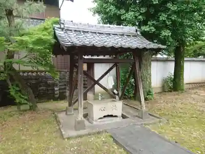 白髭神社の手水舎