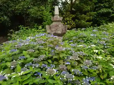 霊源院(京都府)