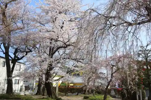 諏訪神社の自然