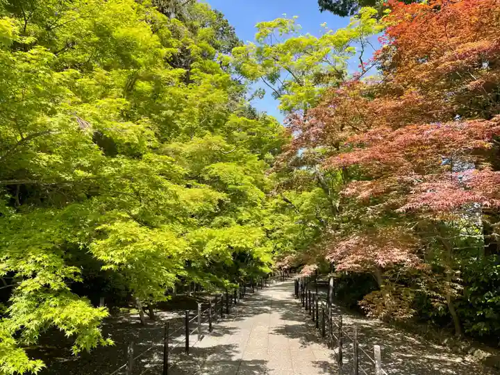 光明寺(粟生光明寺)(京都府)