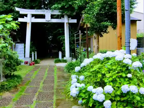 一山神社の鳥居