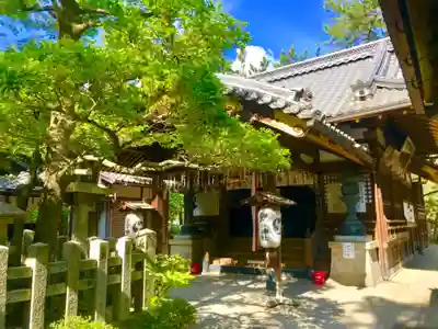白雲神社の本殿・本堂