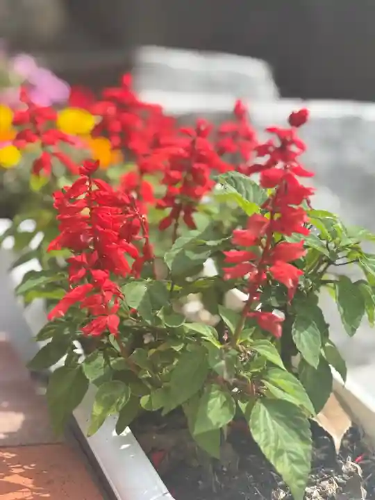 聖光寺(福岡県)