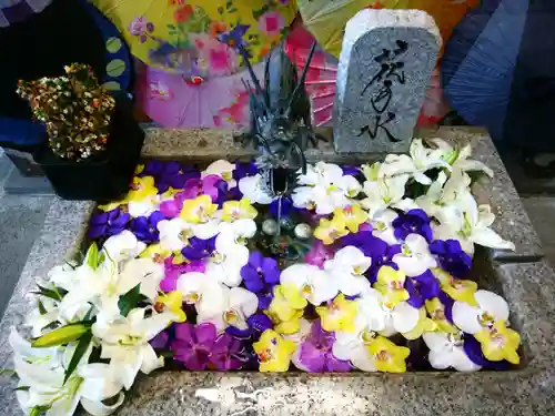 札幌諏訪神社の手水舎