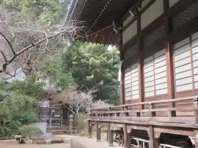 安國論寺（安国論寺）のその他建物