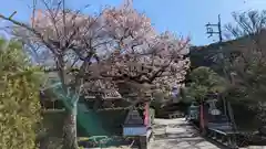 大豊神社(京都府)