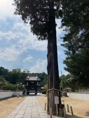 與田寺(香川県)