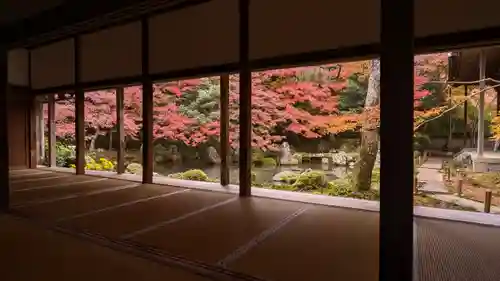 蓮華寺（洛北蓮華寺）(京都府)
