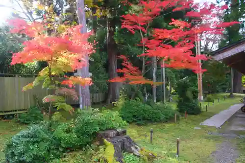 中尊寺金色堂(岩手県)