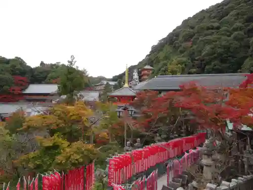 朝護孫子寺(奈良県)