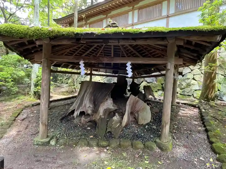 大神神社(奈良県)