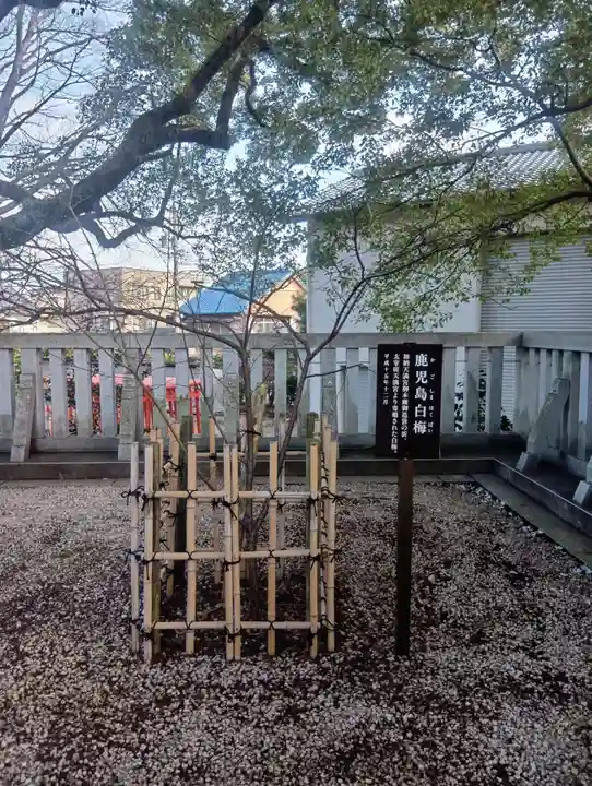 加納天満宮(岐阜県)