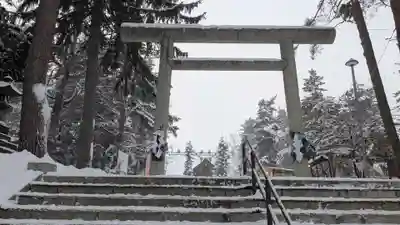 上川神社の初詣