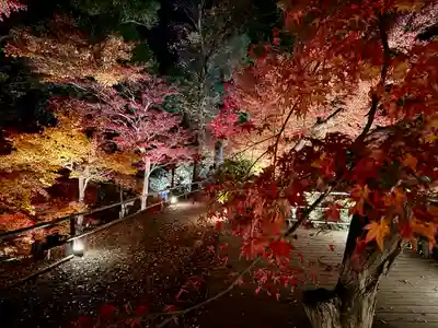 北野天満宮(京都府)