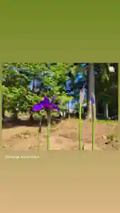 高司神社〜むすびの神の鎮まる社〜(福島県)(2023年04月21日(金) 14時52分48秒投稿)