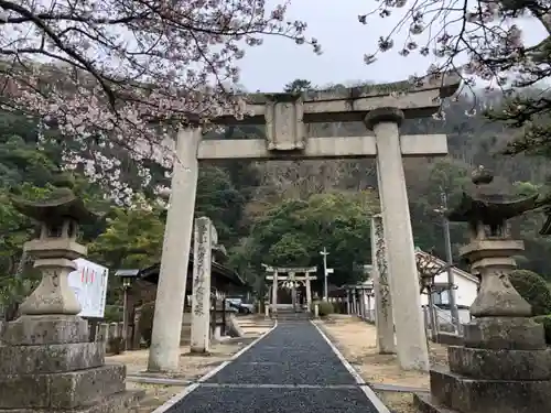 天別豊姫神社の鳥居