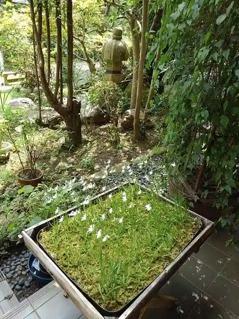 大悲願寺の庭園