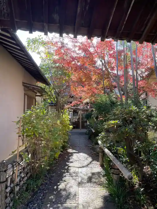 宗周院(東京都)