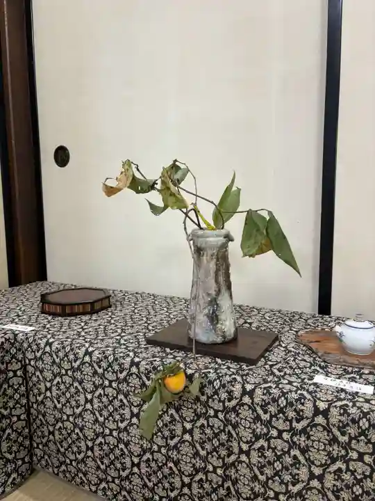 達磨堂 円福寺 (京都府)