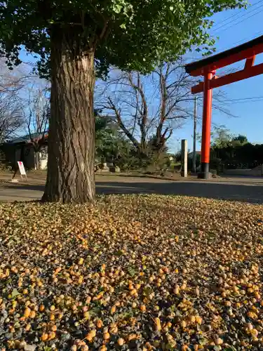 赤城神社(群馬県)