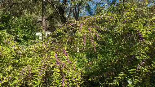 平野神社(京都府)