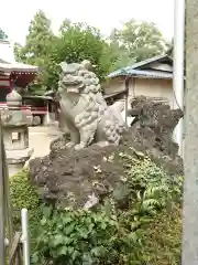 柏諏訪神社の狛犬