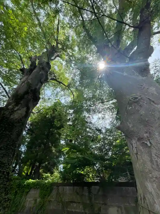 神炊館神社 ⁂奥州須賀川総鎮守⁂の{uncategorized: "未分類", other: "その他", undefined: "問題あり", building: "その他建物", grave: "お墓", sacred_gate: "鳥居", guardian: "狛犬", statue: "像", buddha: "仏像", history: "歴史", nature: "自然", garden: "庭園", animal: "動物", pagoda: "塔", temizu: "手水舎", mountain_gate: "山門・神門", sanctuary: "本殿・本堂", subordinate: "末社・摂社", art: "芸術", scenery: "景色", jizo: "地蔵", ema: "絵馬", goshuin: "御朱印", omikuji: "おみくじ", items: "授与品その他", amulet: "お守り", goshuincho: "御朱印帳", eats: "食事", festival: "お祭り", votive_dance: "神楽", shichigosan: "七五三参", wedding: "結婚式", experience: "体験その他", initially: "初詣", around: "周辺", anti_infection: "感染症対策"}