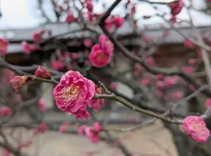 西向天神社(東京都)