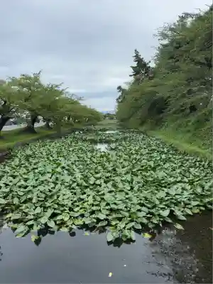 青森縣護國神社(青森県)