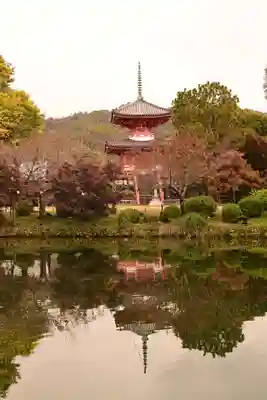 大覚寺(京都府)