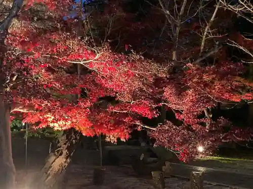 東漸寺(千葉県)