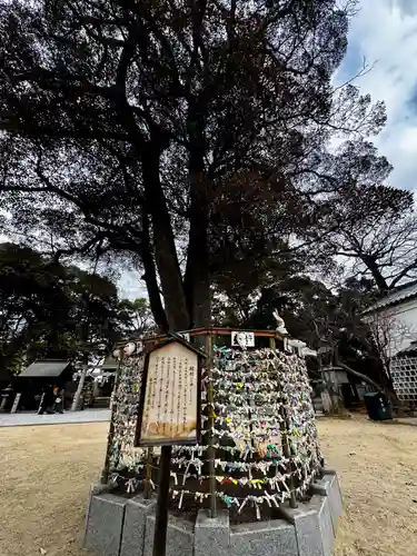 阿智神社(岡山県)