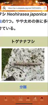 流谷八幡神社(大阪府)