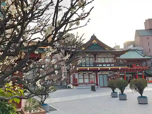 神田神社（神田明神）のその他建物