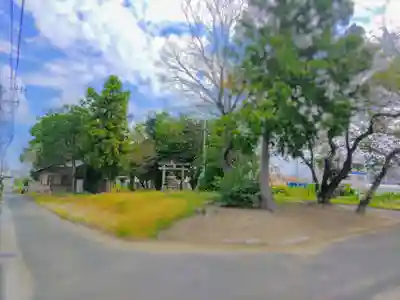 八幡社(丸渕上)の自然