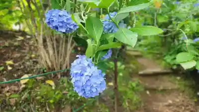 高林寺(福島県)
