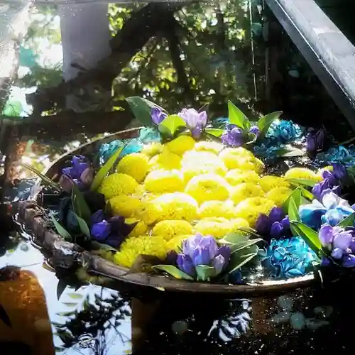 津島神社の手水舎