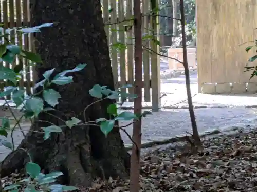 伊勢神宮外宮（豊受大神宮）の{uncategorized: "未分類", other: "その他", undefined: "問題あり", building: "その他建物", grave: "お墓", sacred_gate: "鳥居", guardian: "狛犬", statue: "像", buddha: "仏像", history: "歴史", nature: "自然", garden: "庭園", animal: "動物", pagoda: "塔", temizu: "手水舎", mountain_gate: "山門・神門", sanctuary: "本殿・本堂", subordinate: "末社・摂社", art: "芸術", scenery: "景色", jizo: "地蔵", ema: "絵馬", goshuin: "御朱印", omikuji: "おみくじ", items: "授与品その他", amulet: "お守り", goshuincho: "御朱印帳", eats: "食事", festival: "お祭り", votive_dance: "神楽", shichigosan: "七五三参", wedding: "結婚式", experience: "体験その他", initially: "初詣", around: "周辺", anti_infection: "感染症対策"}