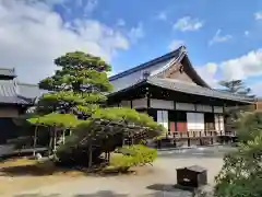 鹿苑寺（金閣寺）(京都府)