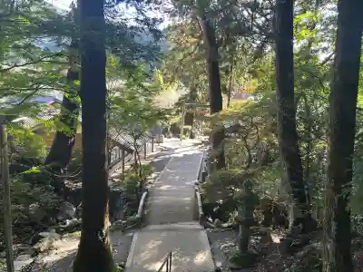 伊野天照皇大神宮(福岡県)